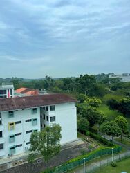 Bishan Park Condominium (D20), Condominium #480731591